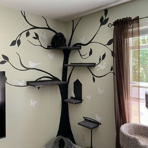 Wall Mounted Cat Shelves