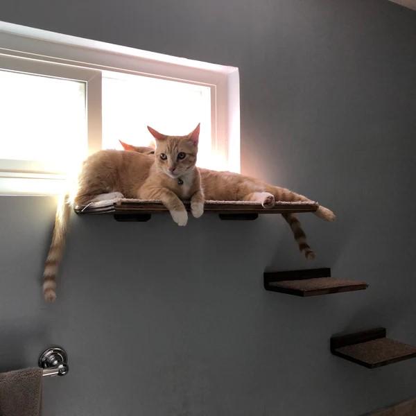 Extra Large 24" Long Floating Cat Perch Bed