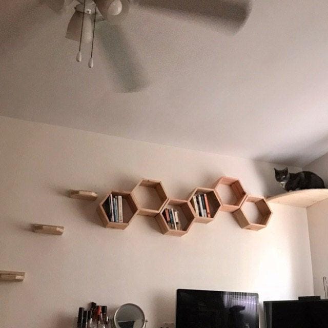 Floating Cat Step/Shelf Set of 3 w/ Hidden brackets