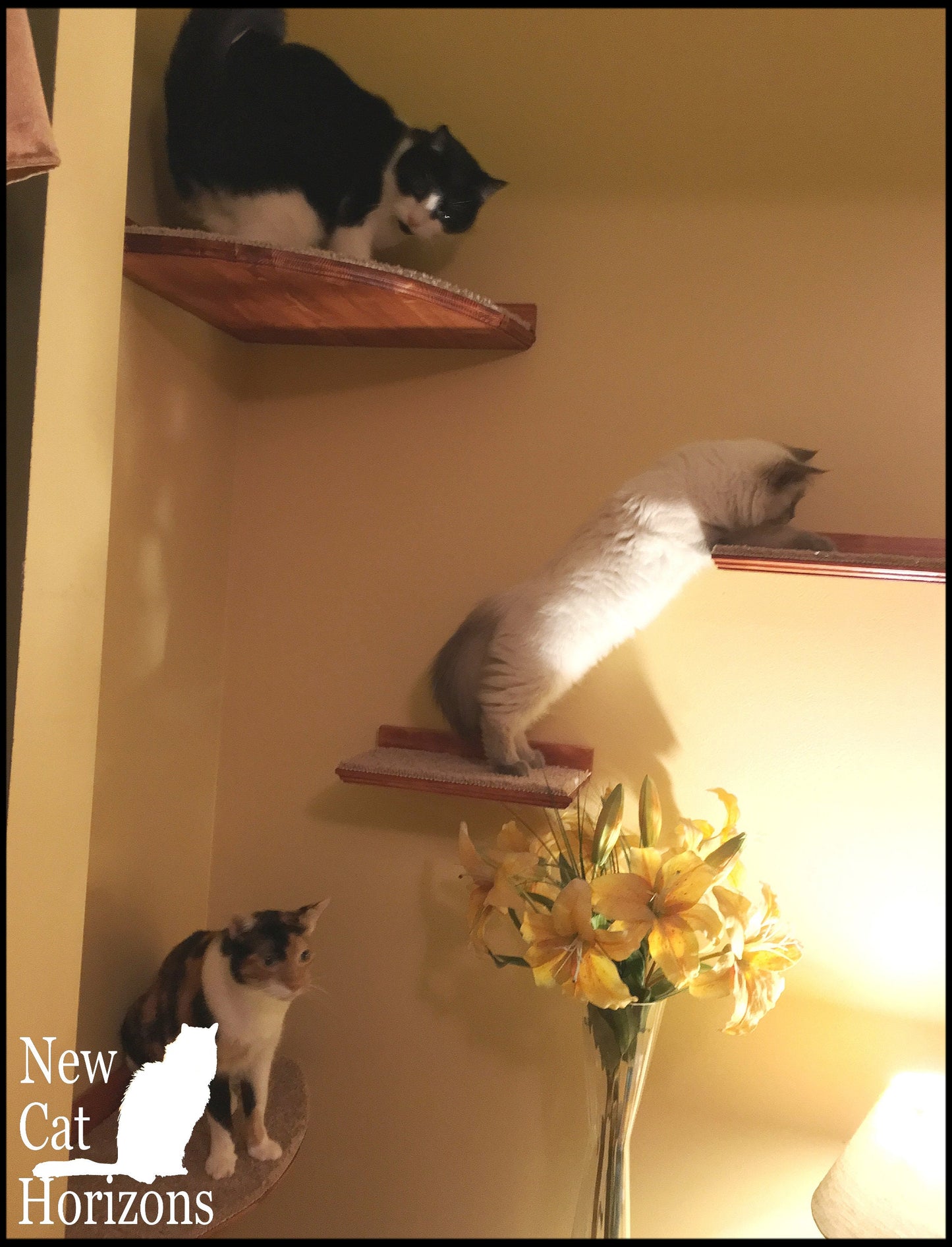 Floating Cat Shelf / One Short 12" Shelf