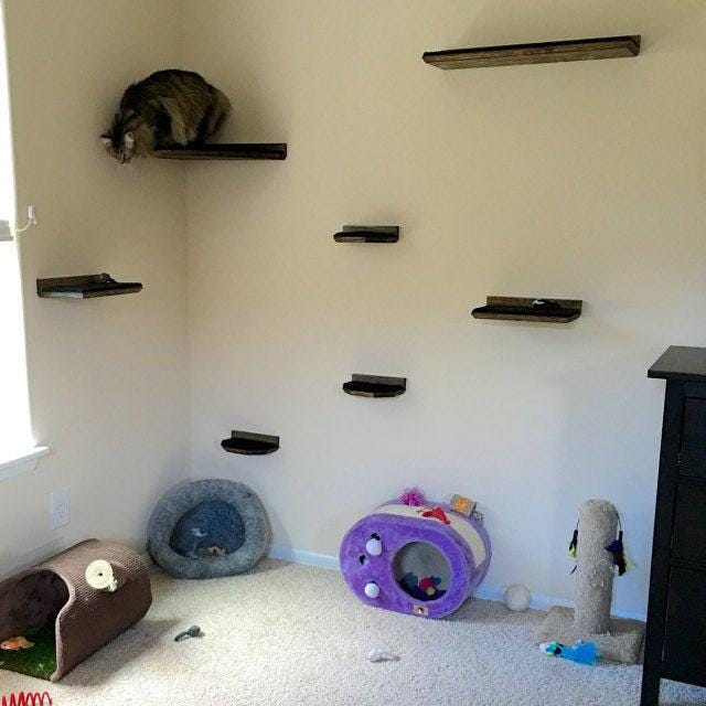 Floating Cat Step/Shelf Set of 3 w/ Hidden brackets