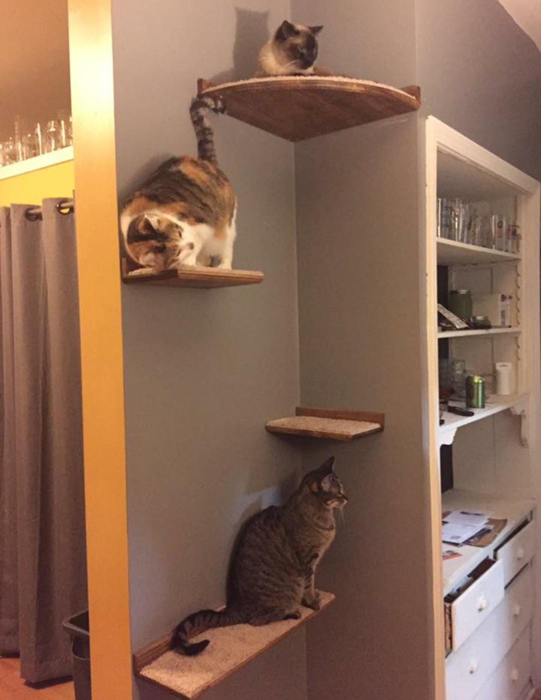 Floating Cat Shelf Set 4 pc. / Corner Perch with 1 Long, and 2 Short Shelves