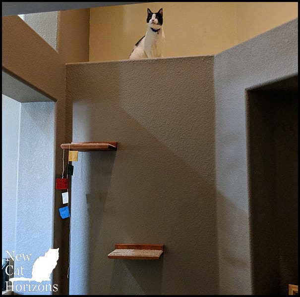 Floating Cat Shelf / One Short 12" Shelf