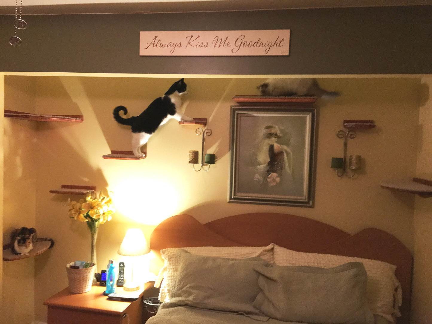 Floating Cat Step/Shelf Set of 3 w/ Hidden brackets