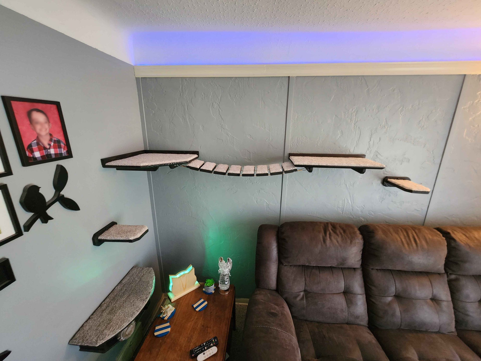 Deluxe Corner Cat Shelf/Bridge Combo Customizable / Hemp Rope and Wood Cat Bridge