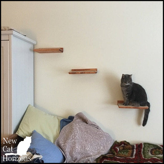 Floating Cat Shelf Set / 3 Short Shelves w/ Hidden Brackets