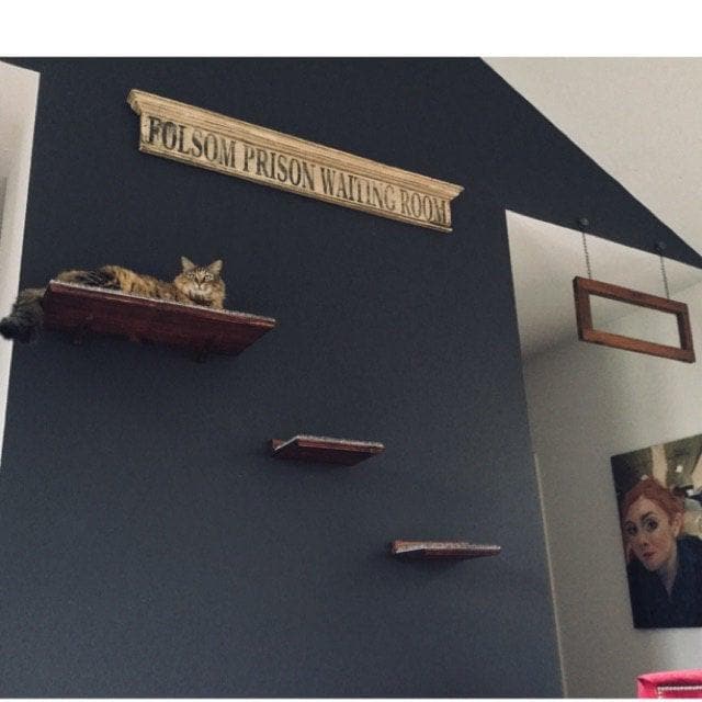 Floating Cat Shelf Set 5 pc. / Extra Large Straight Shelf/Perch, 1 Corner Perch, 1 Long Straight Shelf, and 2 Short Cat Shelves for Wall