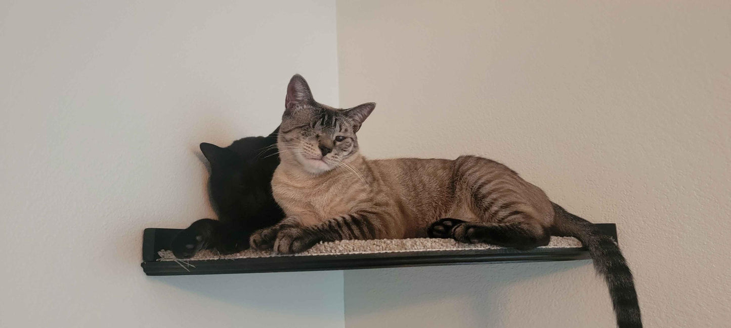 Floating Corner Cat Bed / Shelf - w/ Hidden Brackets