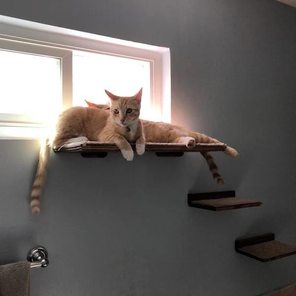 Floating Cat Shelf Set 3 pc. / Large Straight Shelf/Perch with 2 Short Shelves