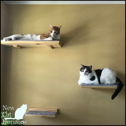 Extra Large 24" Long Floating Cat Perch Bed