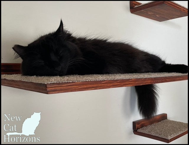 Floating Cat Shelf Set 5 pc. / Extra Large Straight Shelf/Perch, 1 Corner Perch, 1 Long Straight Shelf, and 2 Short Cat Shelves for Wall