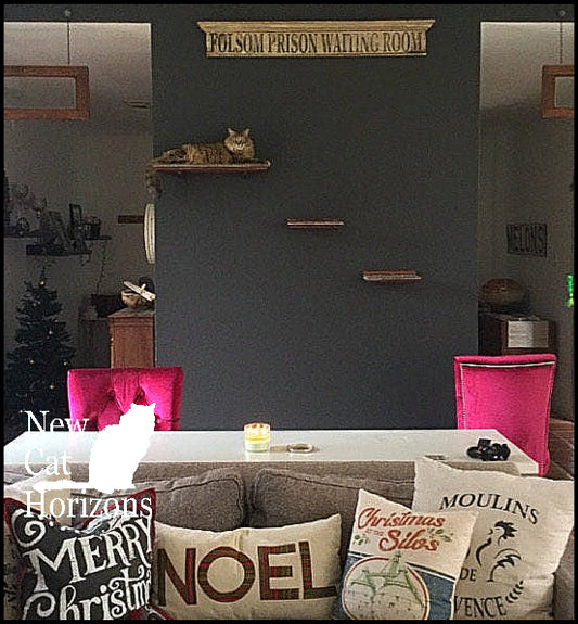 Floating Cat Shelf Set 3 pc. / Large Straight Shelf/Perch with 2 Short Shelves