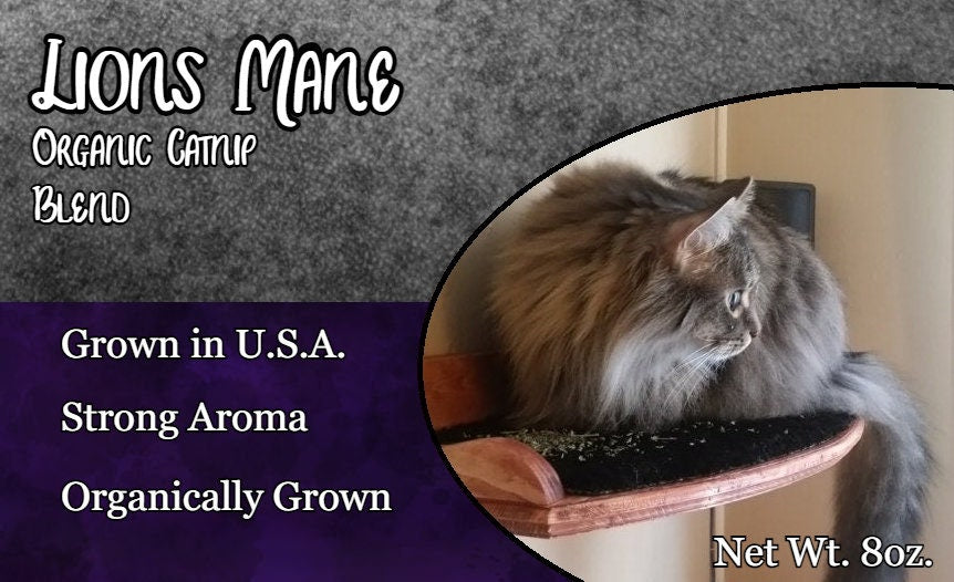 Lions Mane Catnip 100% USA Grown Organic Blend Catnip - 1cup Super Strong Aroma!