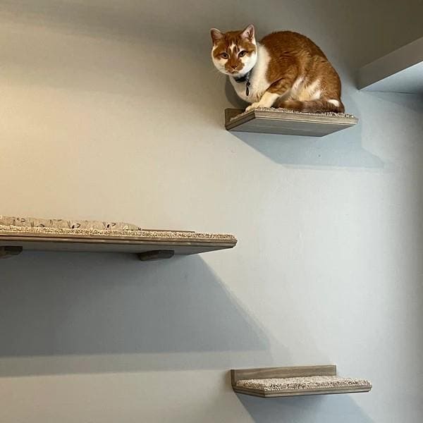 Floating Cat Shelf Set 3 pc. / Large Straight Shelf/Perch with 2 Short Shelves