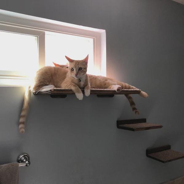 Floating Cat Shelf Set 5 pc. / Extra Large Straight Shelf/Perch, 1 Corner Perch, 1 Long Straight Shelf, and 2 Short Cat Shelves for Wall
