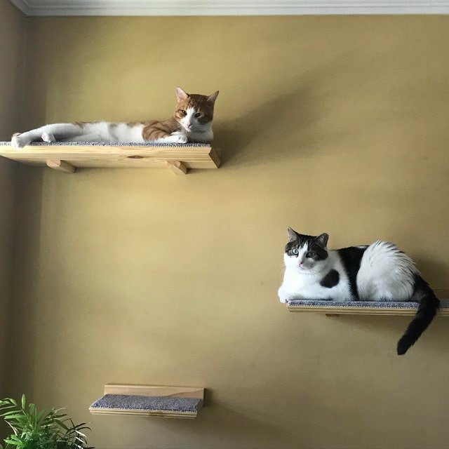 Floating Cat Shelf Set 3 pc. / Large Straight Shelf/Perch with 2 Short Shelves
