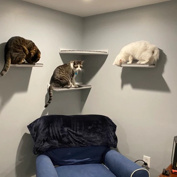 4 Piece Wall Mounted Cat Furniture Set / Corner Cat Shelf with 1 Long Cat Shelf, and 2 Short Cat Step/Shelves Floating Cat Shelf Set