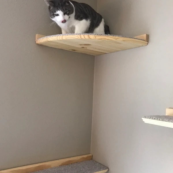 4 Piece Wall Mounted Cat Furniture Set / Corner Cat Shelf with 1 Long Cat Shelf, and 2 Short Cat Step/Shelves Floating Cat Shelf Set