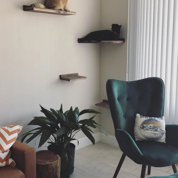 5 Piece Floating Cat Shelf Set / Wall Mounted Cat Furniture w/ Corner Shelf and Extra Large Cat Perch