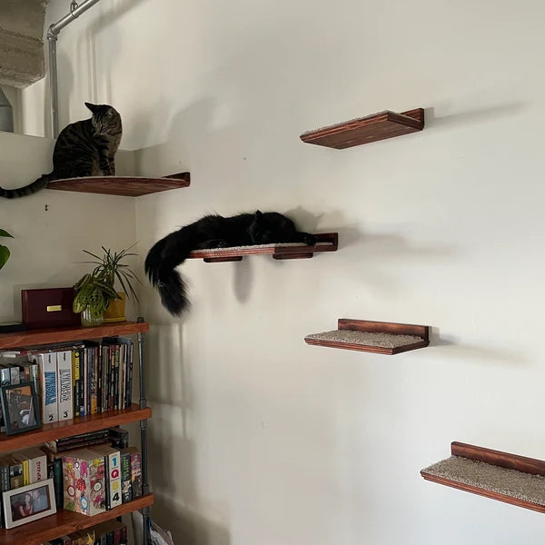 5 Piece Floating Cat Shelf Set / Wall Mounted Cat Furniture w/ Corner Shelf and Extra Large Cat Perch