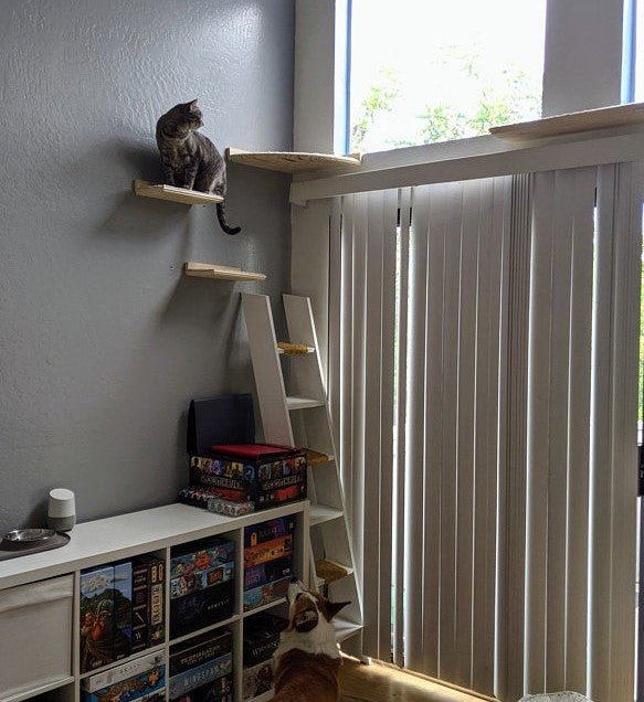 4 Piece Wall Mounted Cat Furniture Set / Corner Cat Shelf with 1 Long Cat Shelf, and 2 Short Cat Step/Shelves Floating Cat Shelf Set