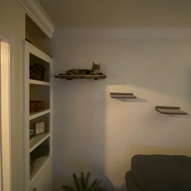 5 Piece Floating Cat Shelf Set / Wall Mounted Cat Furniture w/ Corner Shelf and Extra Large Cat Perch