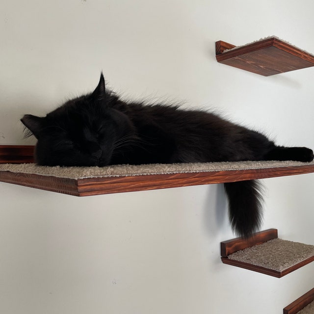 5 Piece Floating Cat Shelf Set / Wall Mounted Cat Furniture w/ Corner Shelf and Extra Large Cat Perch
