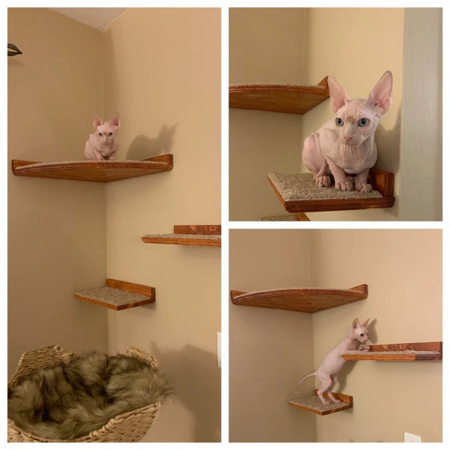 4 Piece Wall Mounted Cat Furniture Set / Corner Cat Shelf with 1 Long Cat Shelf, and 2 Short Cat Step/Shelves Floating Cat Shelf Set